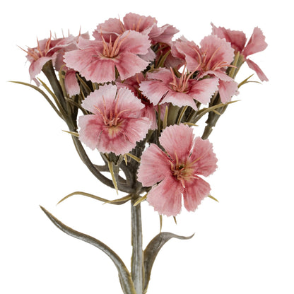 Pink Dianthus Spray image 1