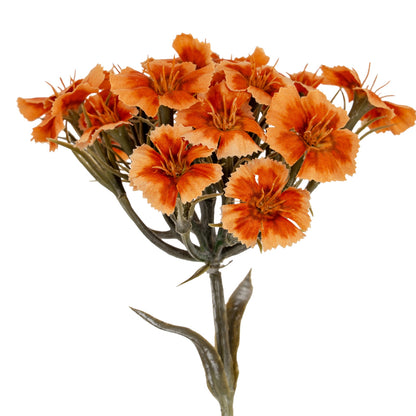 Orange Dianthus Spray image 1