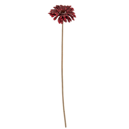 Burgundy Gerbera Stem image 2