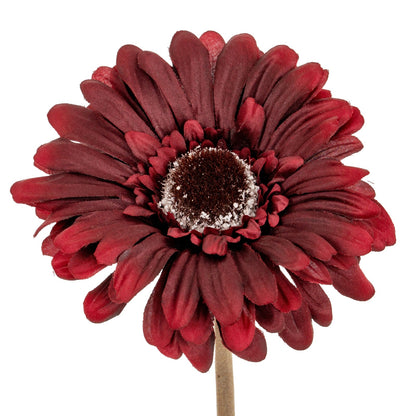 Burgundy Gerbera Stem — individual stem design included in Autumn Glow