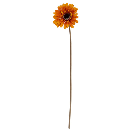 Soft Yellow Gerbera Stem image 2