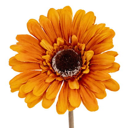 Soft Yellow Gerbera Stem image 1