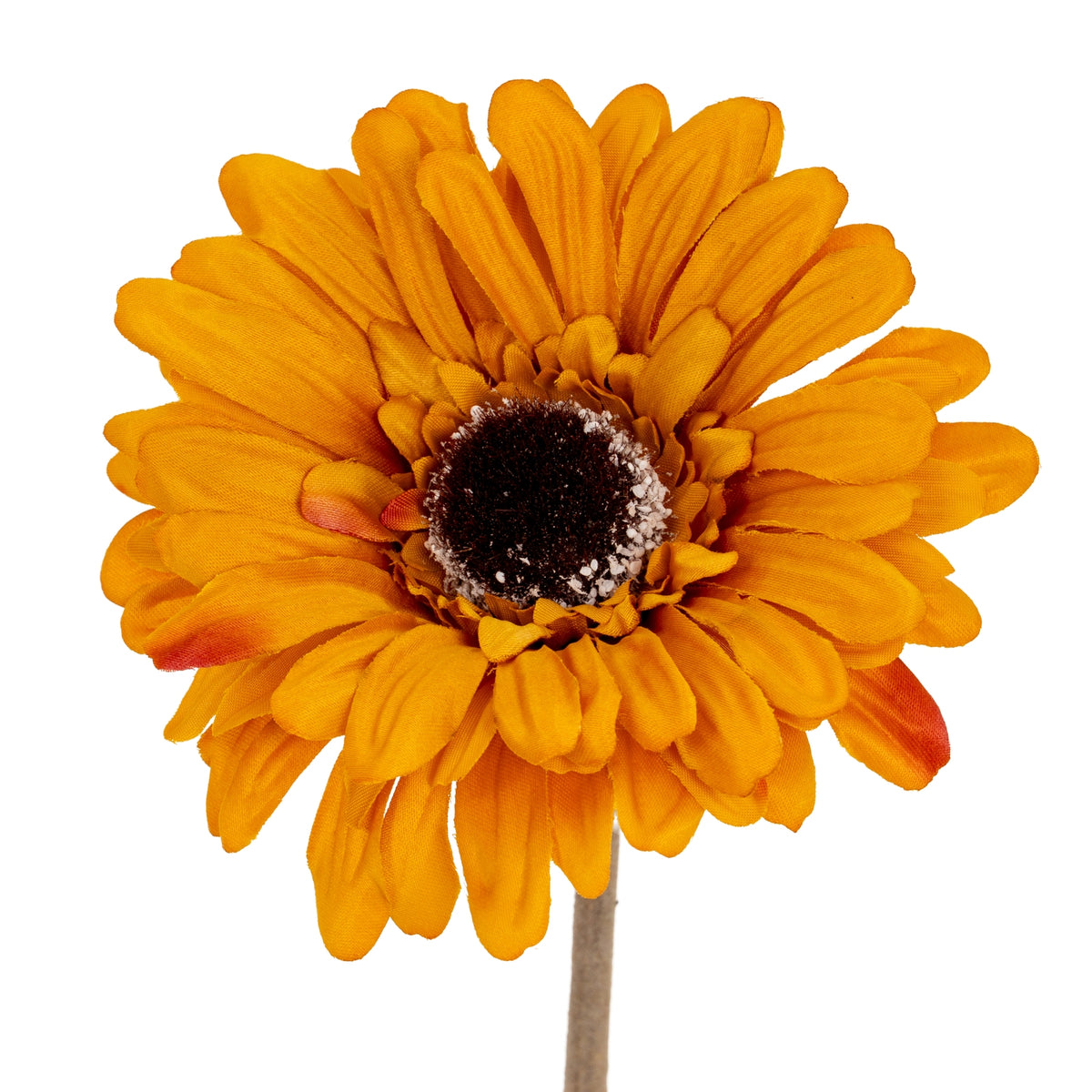 Orange Gerbera Stem image 1