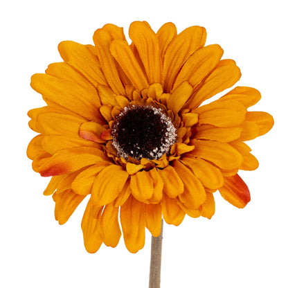 Orange Gerbera Stem image 1