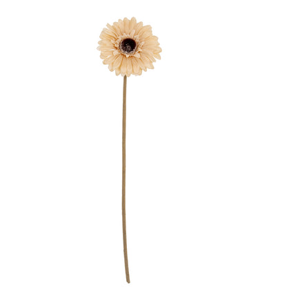 Cream Gerbera Stem image 2