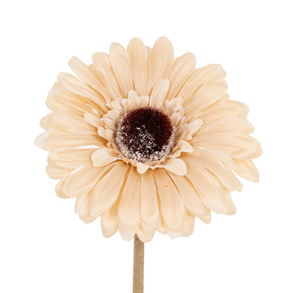 Cream Gerbera Stem image 1