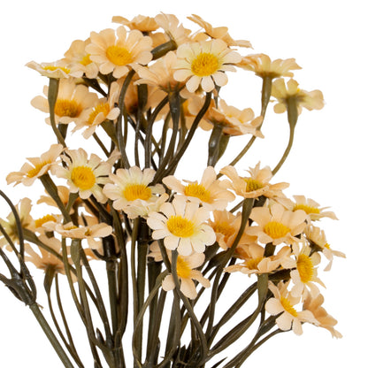 Cream Daisy Bunch image 1