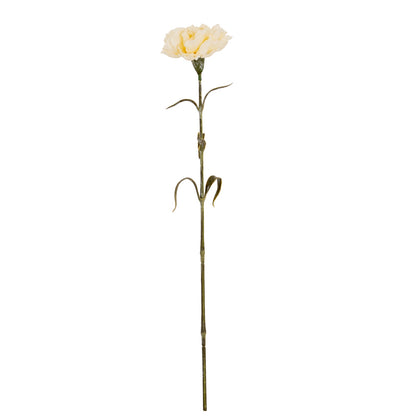 Cream Carnation Stem image 2