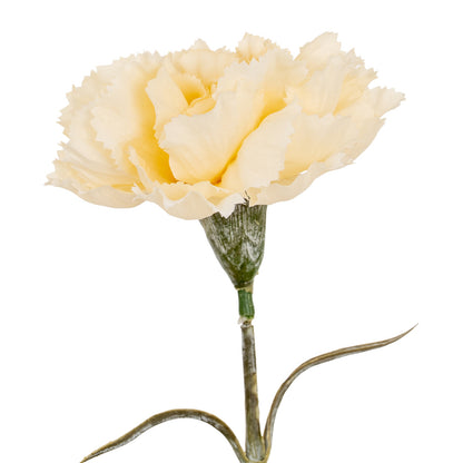Cream Carnation Stem image 1