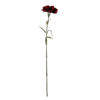 Burgundy Carnation Stem image 2