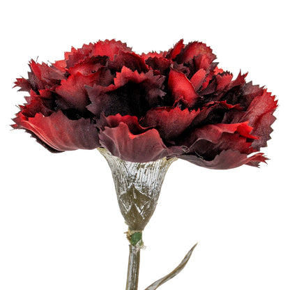 Burgundy Carnation Stem image 1