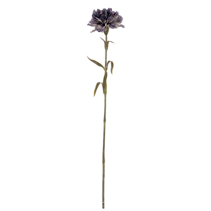 Purple Carnation Stem image 2