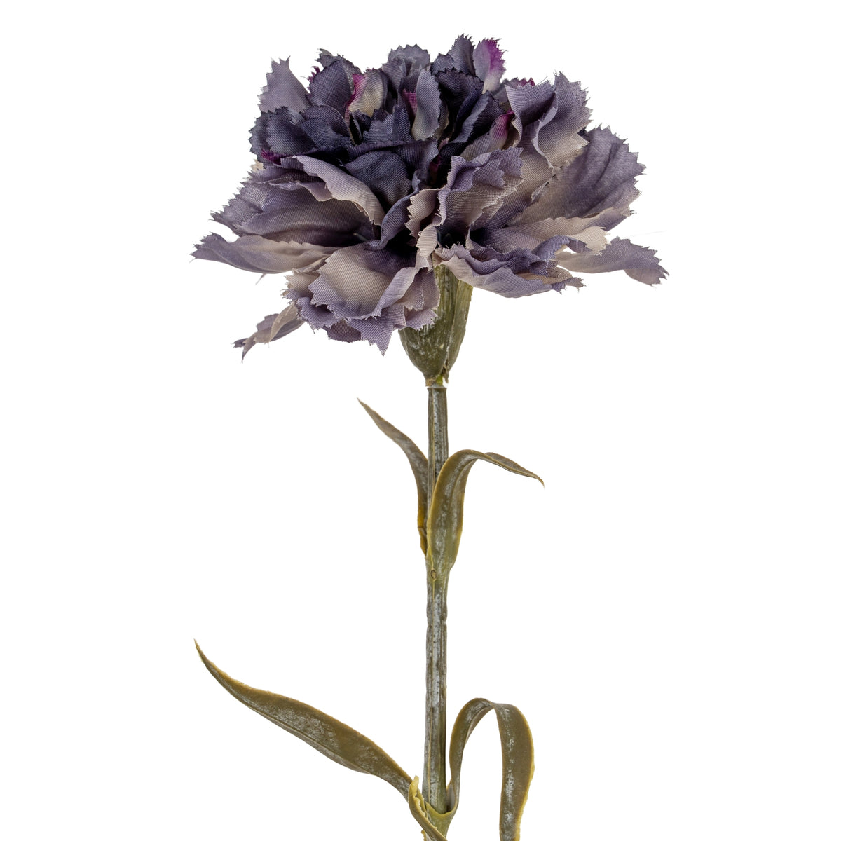 Purple Carnation Stem image 1