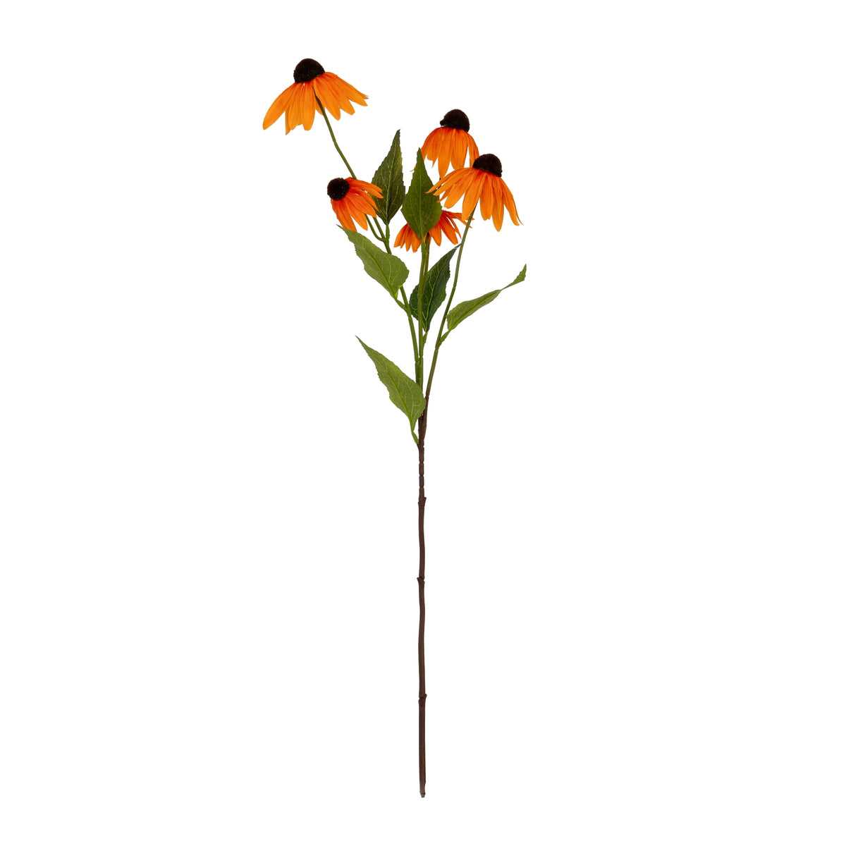 Orange Echinacea Spray image 2