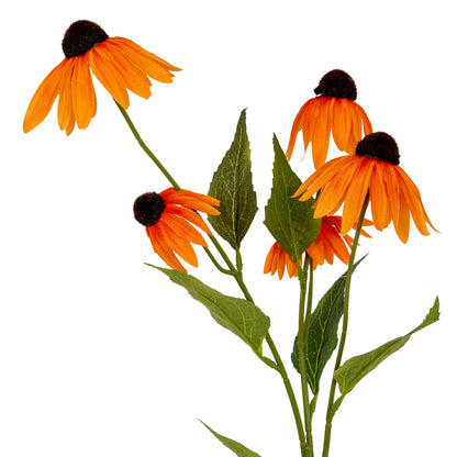 Orange Echinacea Spray image 1
