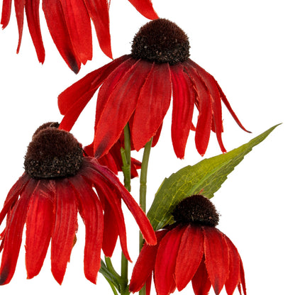 Red Echinacea Spray image 3