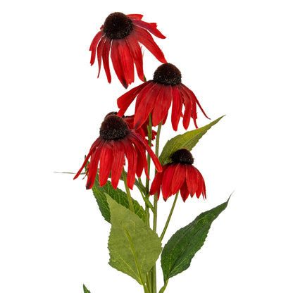 Red Echinacea Spray image 1