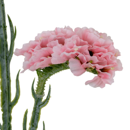 Pink Statis Spray image 3