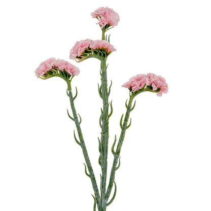 Pink Statis Spray image 1