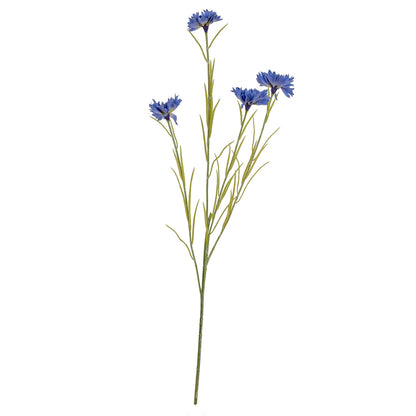 Blue Cornflower Stem image 2