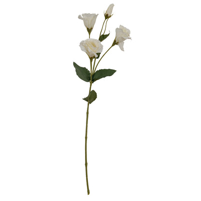 White Lisianthus Spray image 2