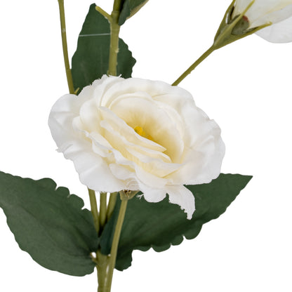 White Lisianthus Spray image 3