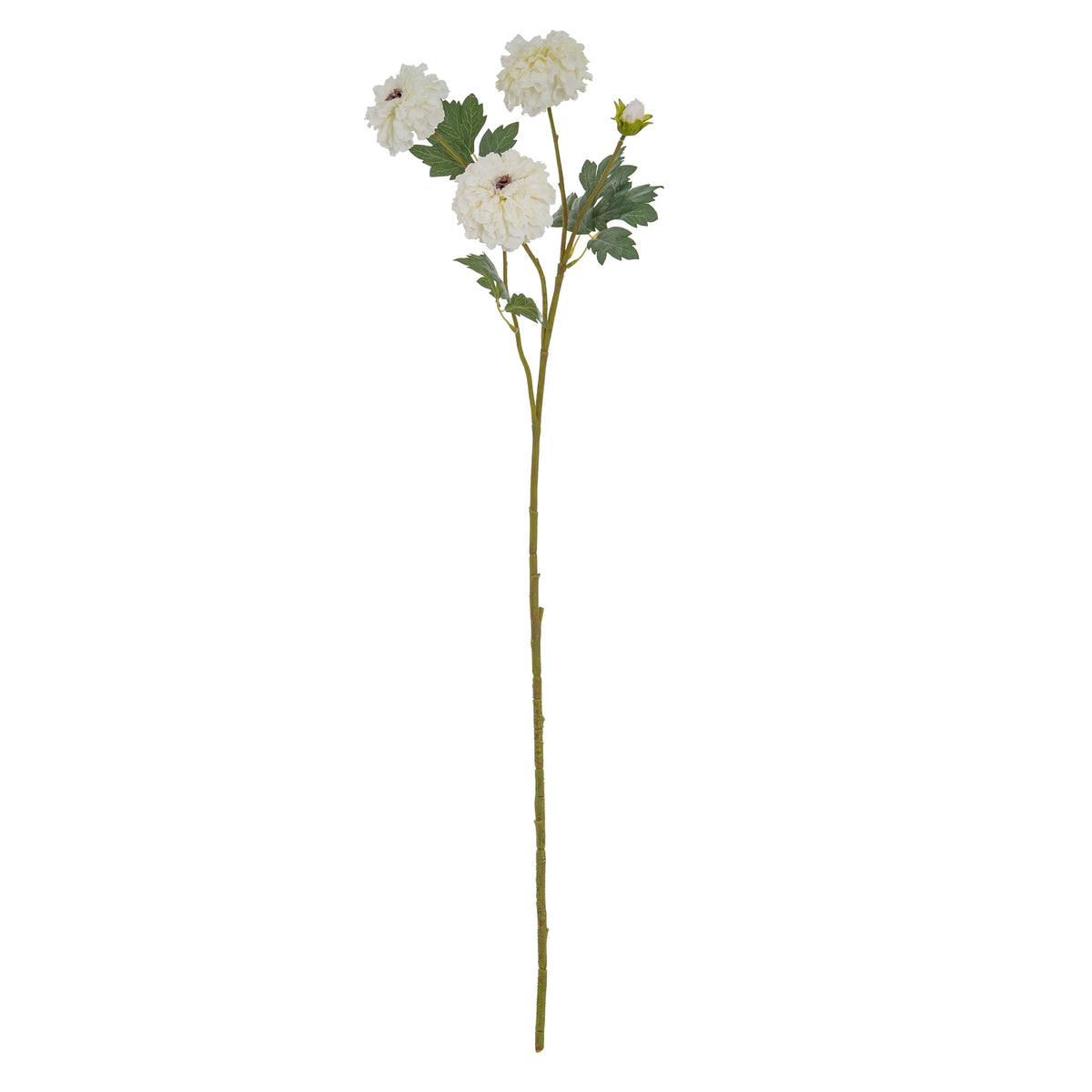 White African Marigold Large Spray image 2