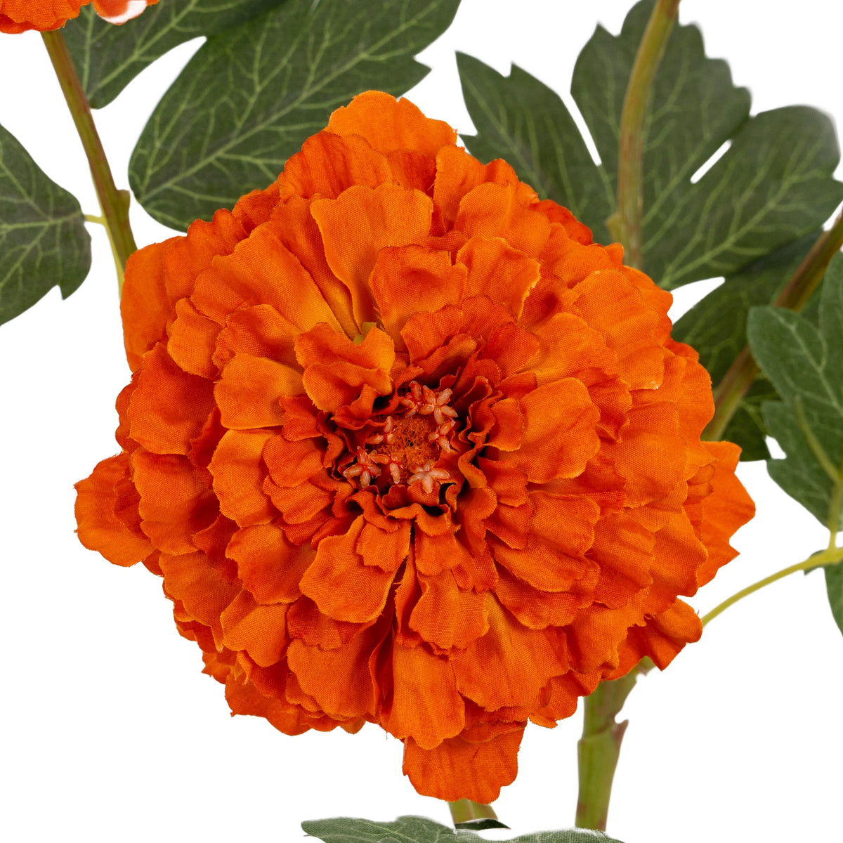 Orange African Marigold Large Spray image 3