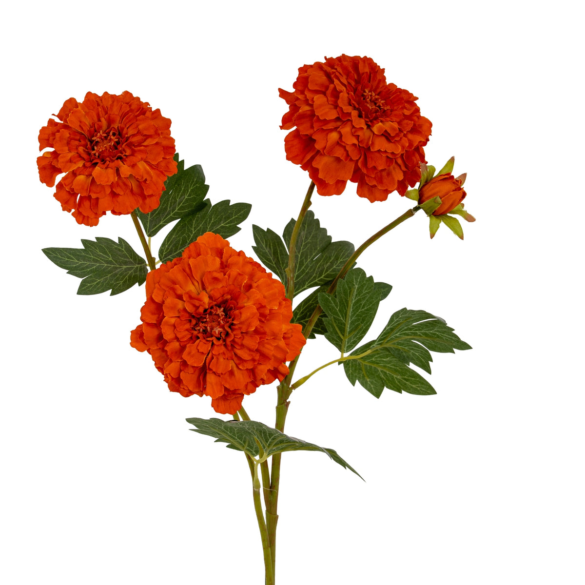 Orange African Marigold Large Spray image 1