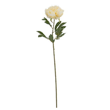 Large Buttermilk Double Peony Stem image 2
