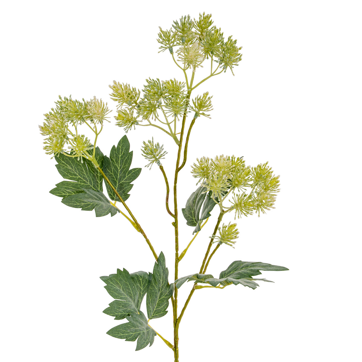 Green French Meadow Spray image 4