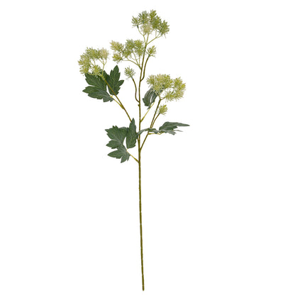 Green French Meadow Spray image 5