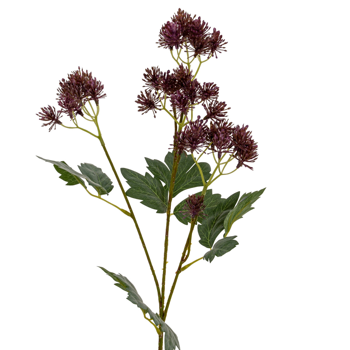 Purple French Meadow Spray image 3