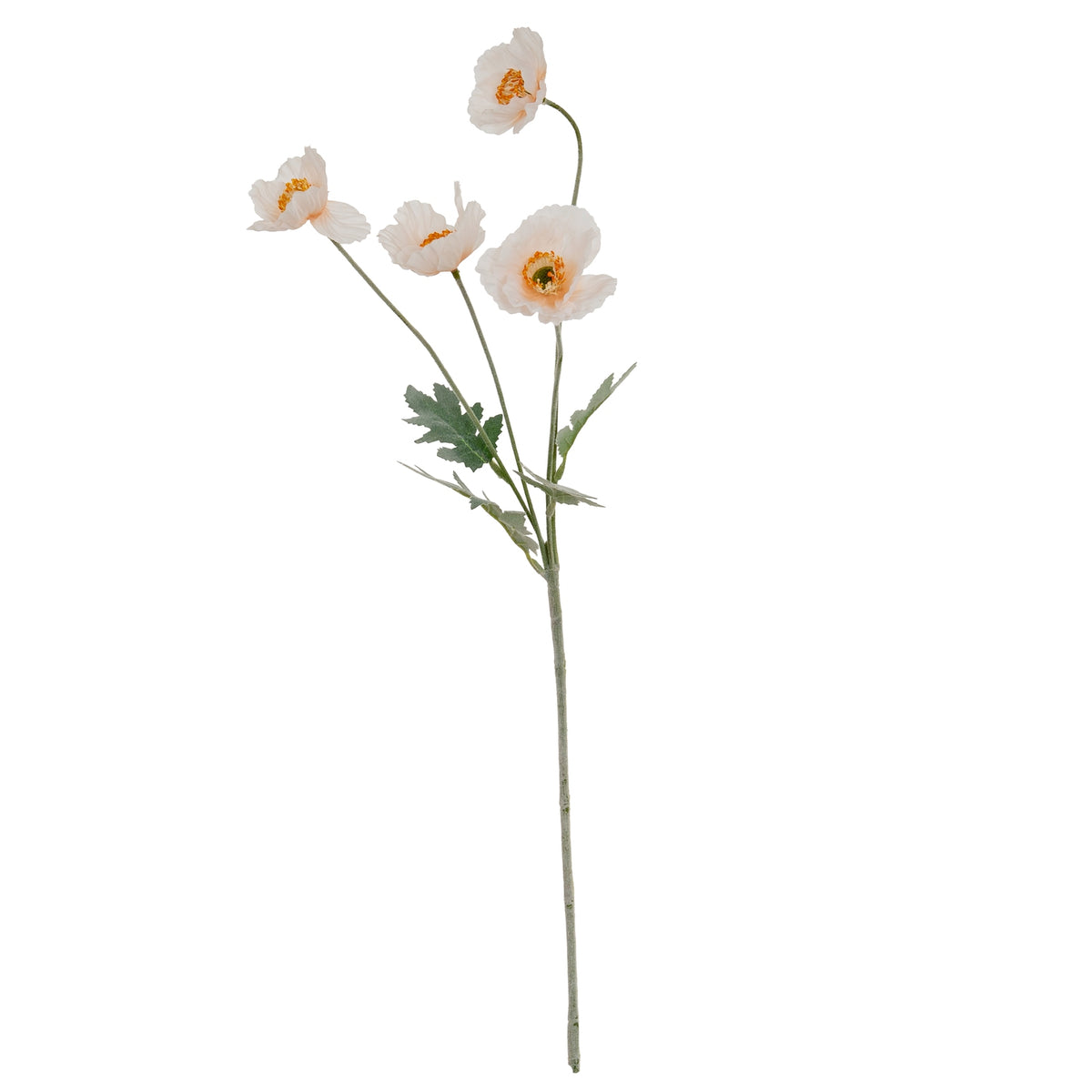 Cream Papaver Poppy Spray image 2