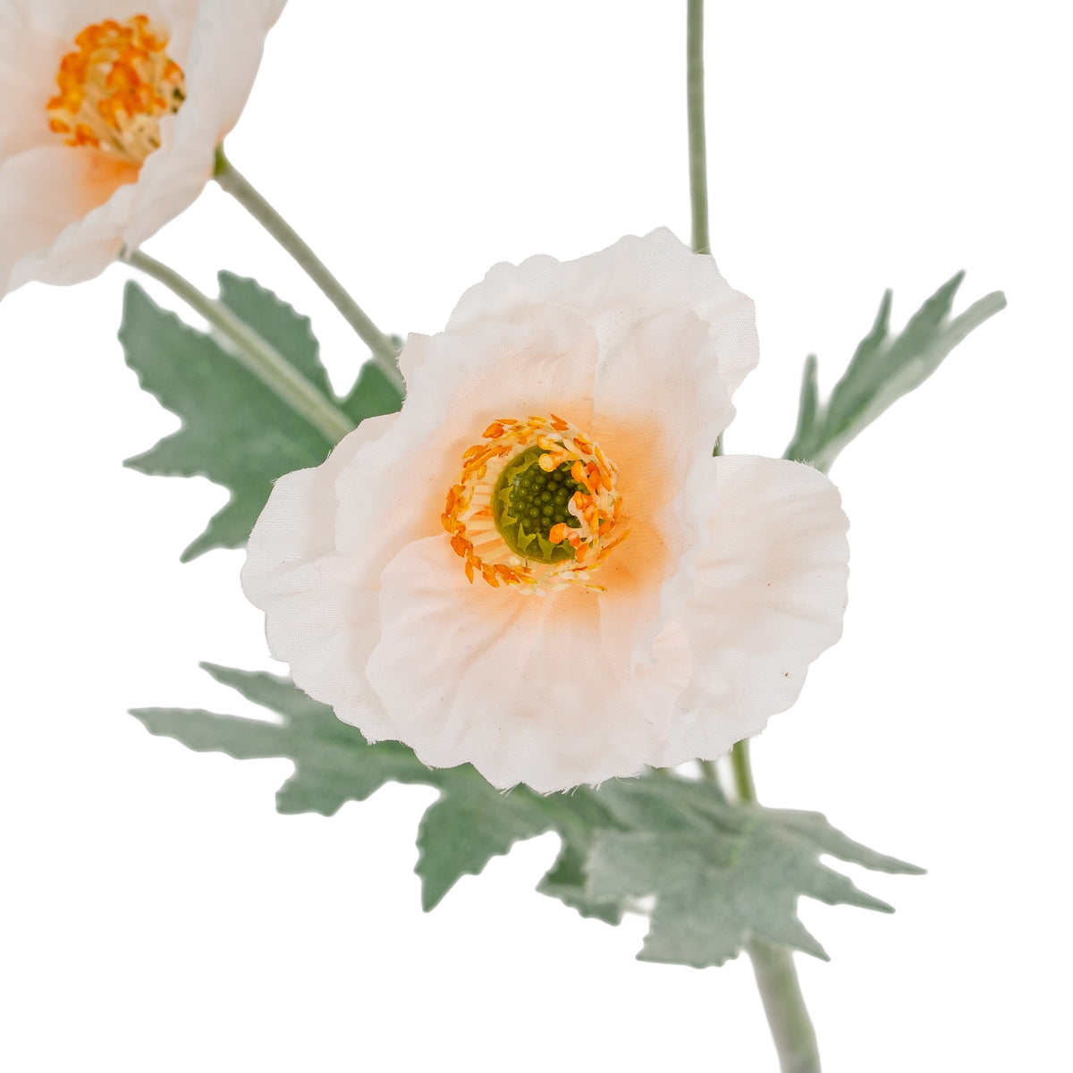 Cream Papaver Poppy Spray image 3