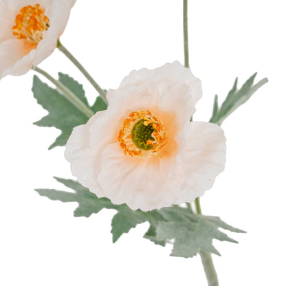 Cream Papaver Poppy Spray image 3