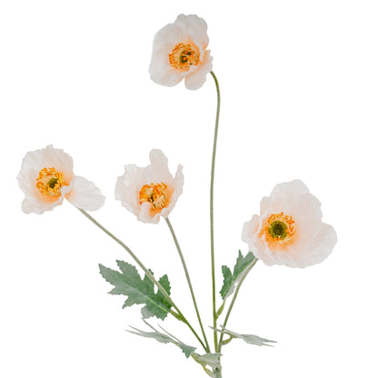 Cream Papaver Poppy Spray image 1