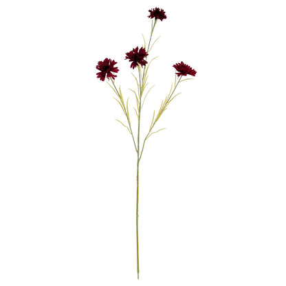 Burgundy Cornflower Stem image 2