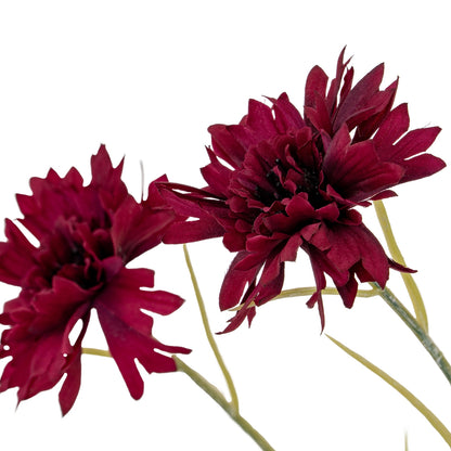 Burgundy Cornflower Stem image 3