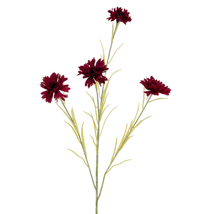 Burgundy Cornflower Stem image 1