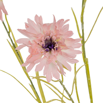 Pink Cornflower Stem image 3