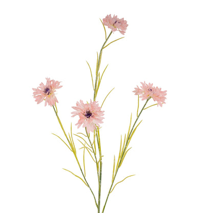 Pink Cornflower Stem image 1