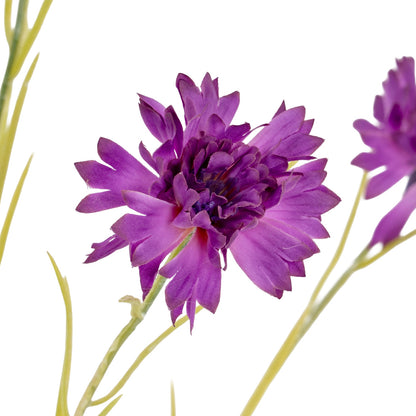 Purple Cornflower Stem image 3