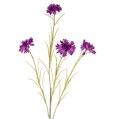 Purple Cornflower Stem image 1