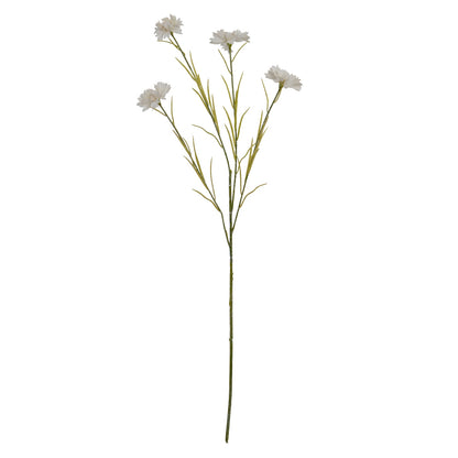 White Cornflower Stem image 2