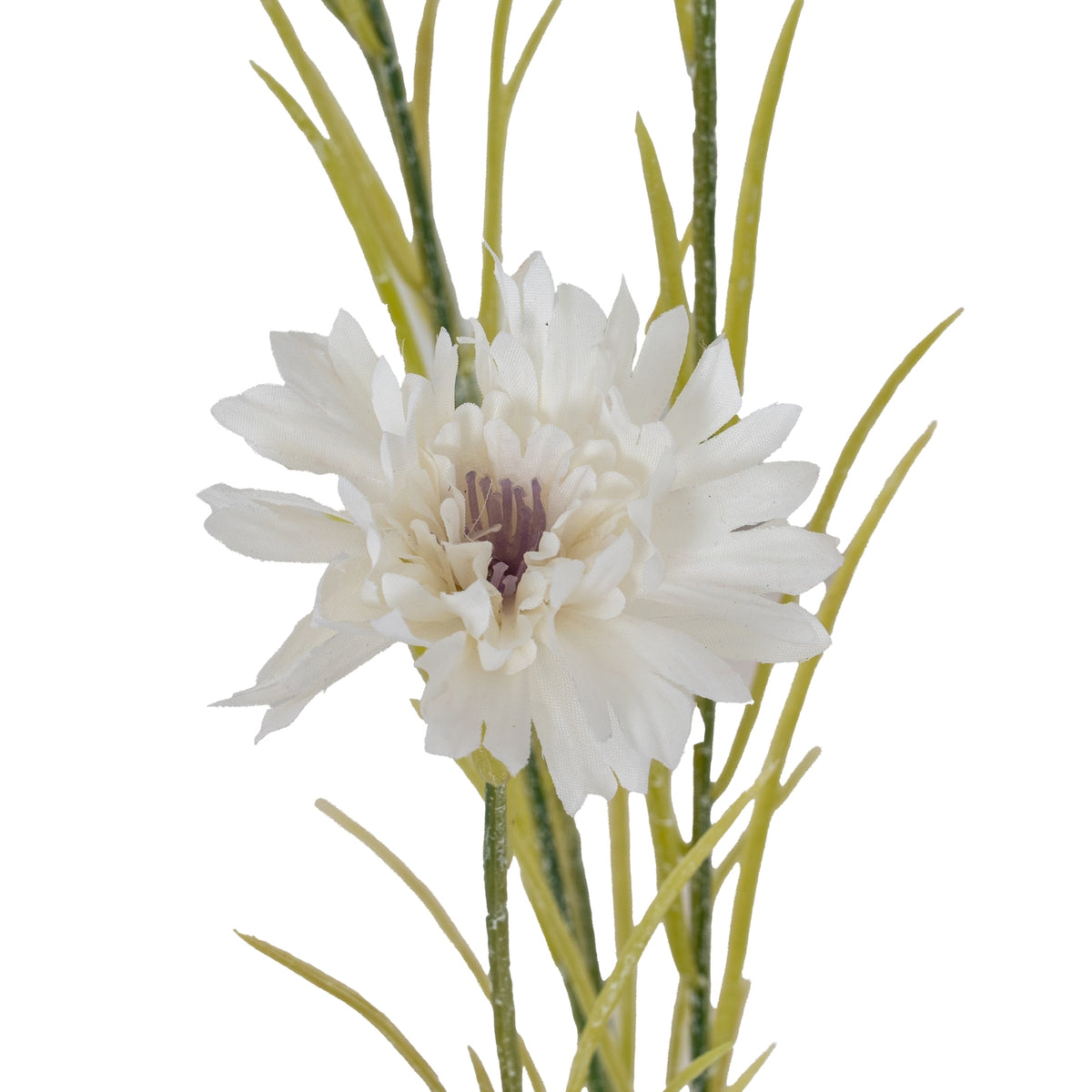 White Cornflower Stem image 3