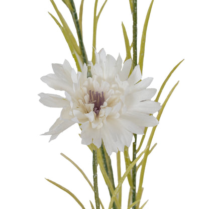 White Cornflower Stem image 3