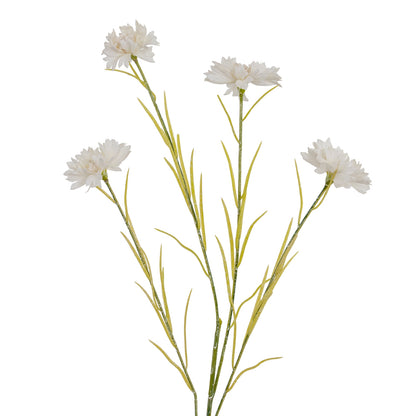 White Cornflower Stem image 1