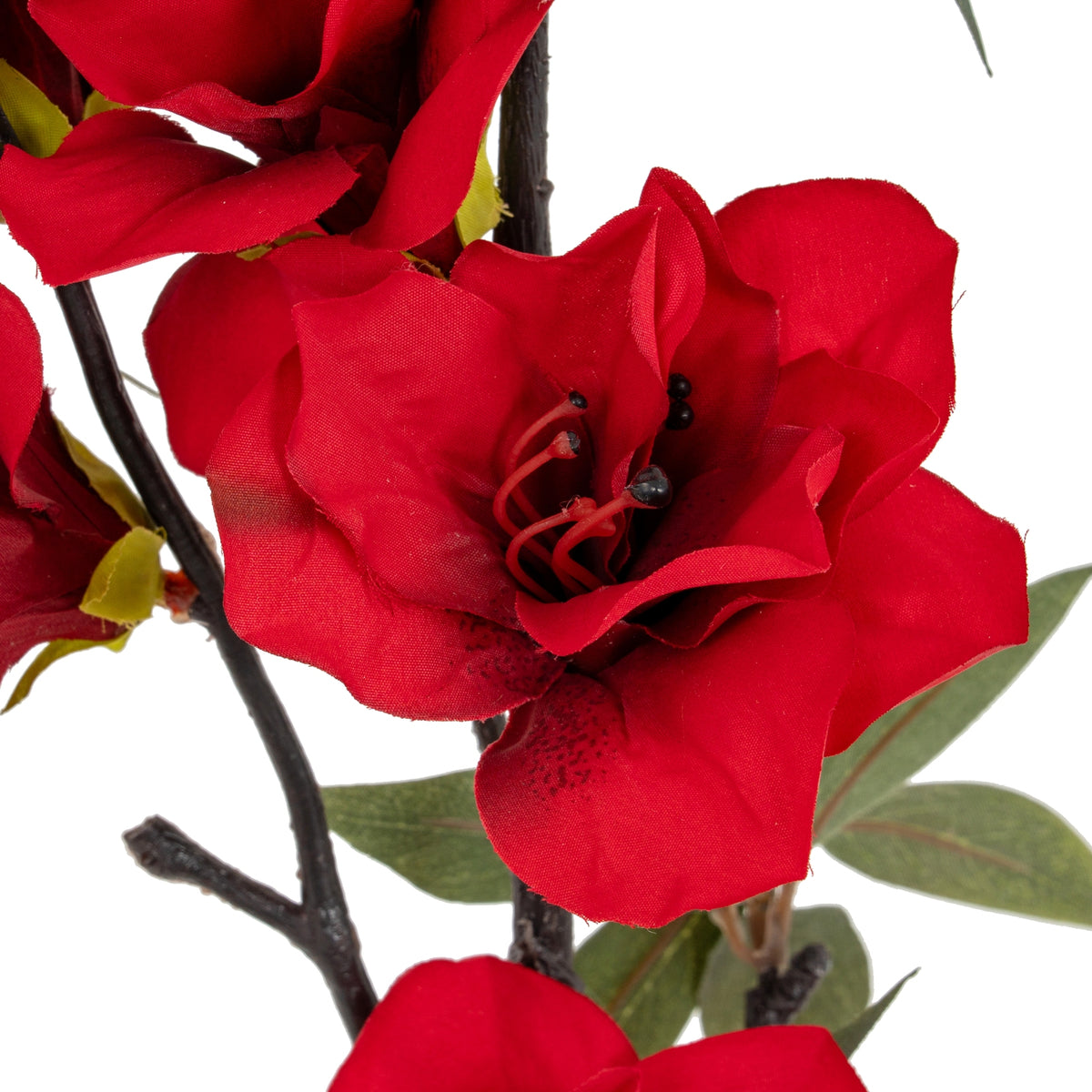 Crimson Bloom Large Spray image 3