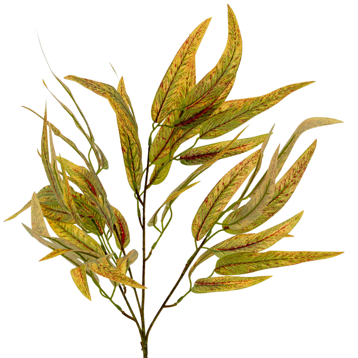 Variegated Long Leaf Eucalyptus Spray image 2